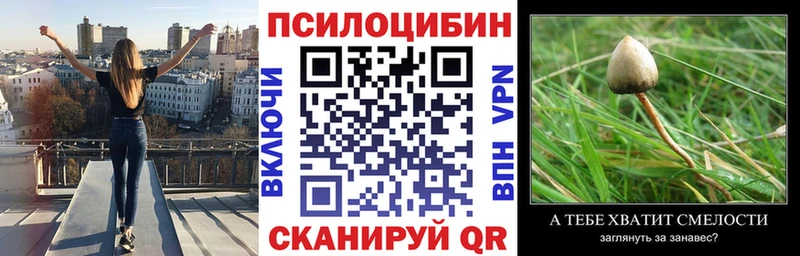 Галлюциногенные грибы мицелий  продажа наркотиков  Сафоново 