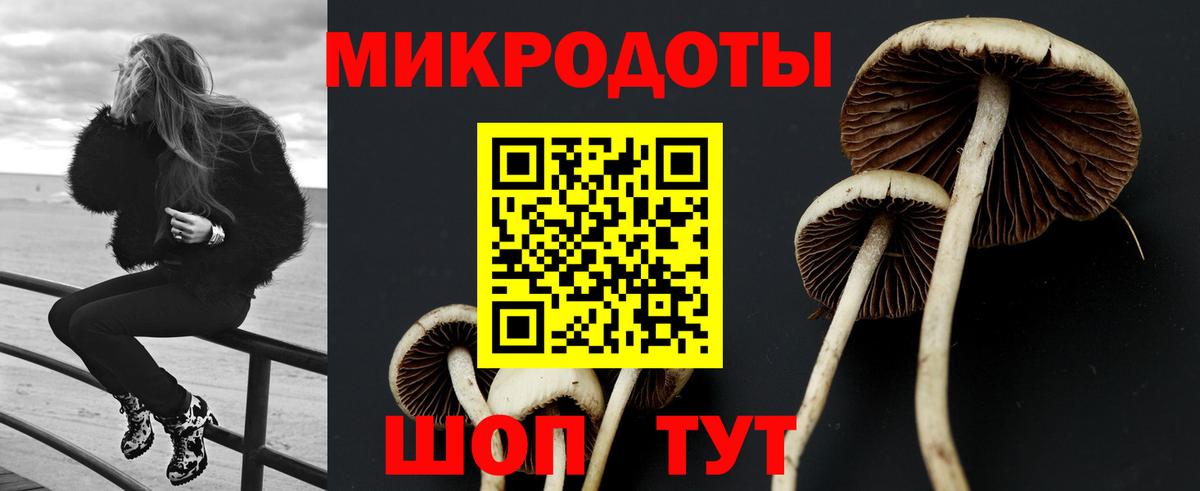 Галлюциногенные грибы Magic Shrooms Сафоново